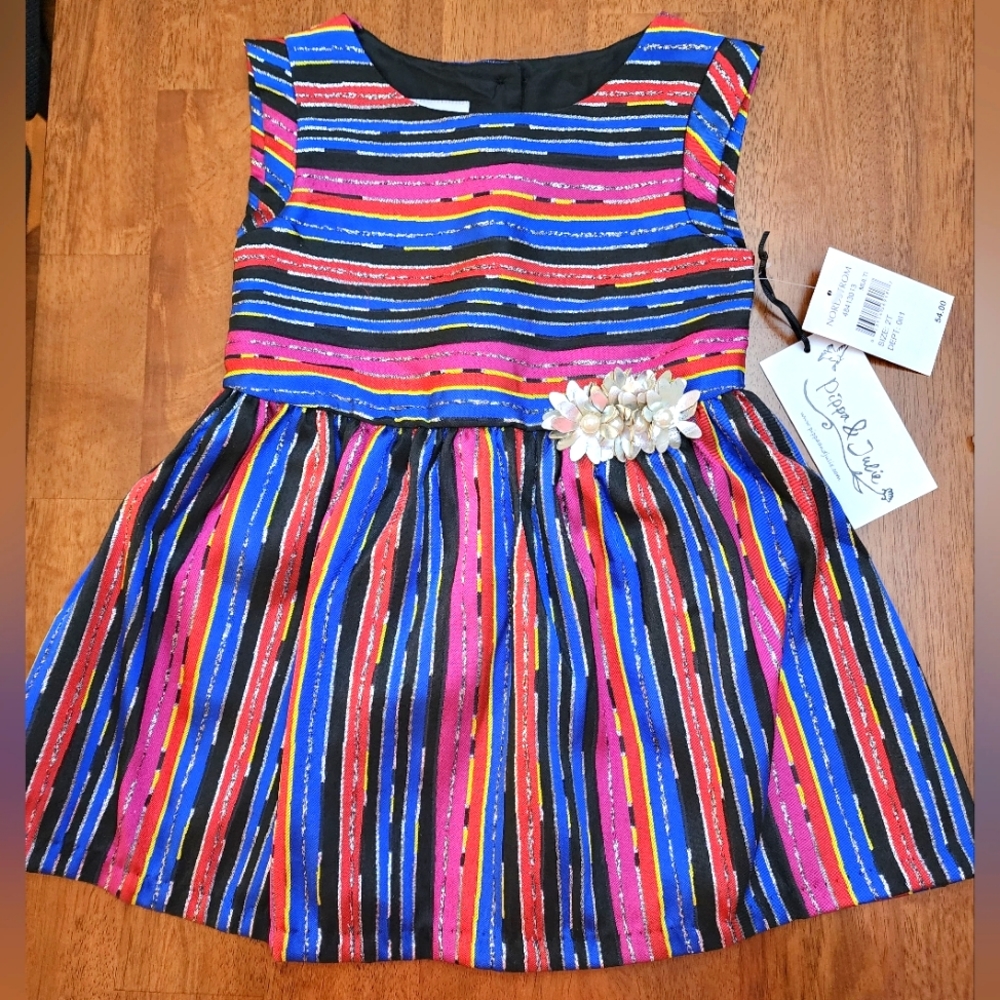 New Baby girls 2T Pippa and Julia dress